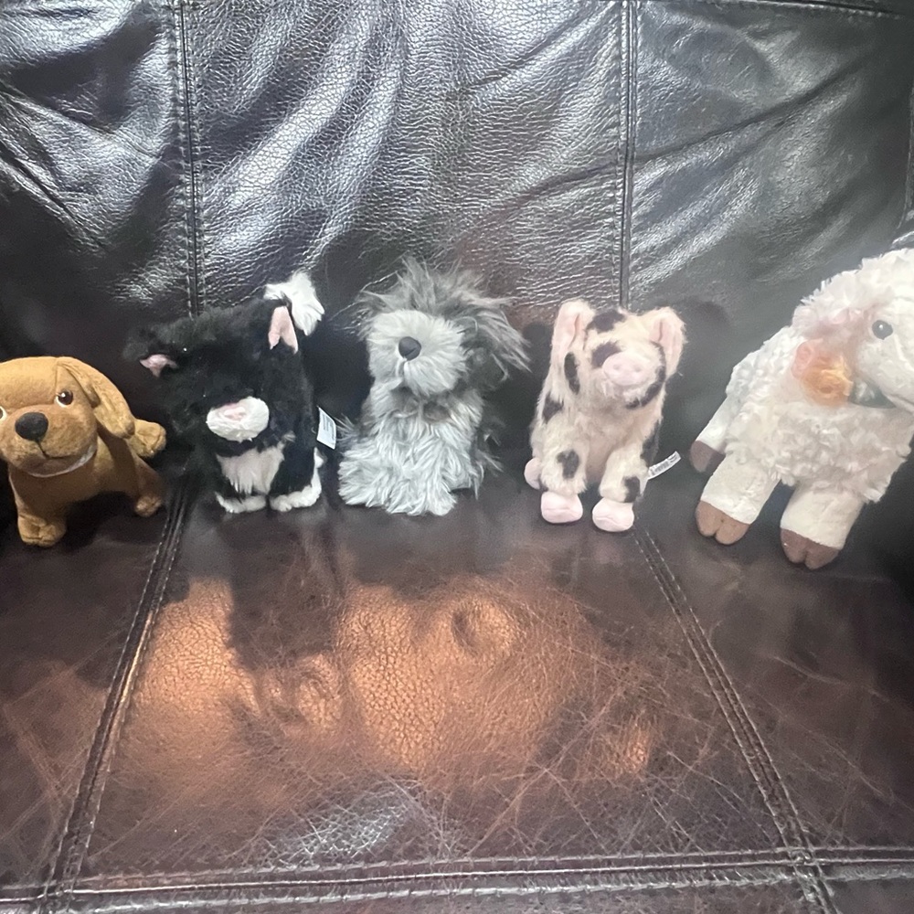 American Girl set of 5 pets